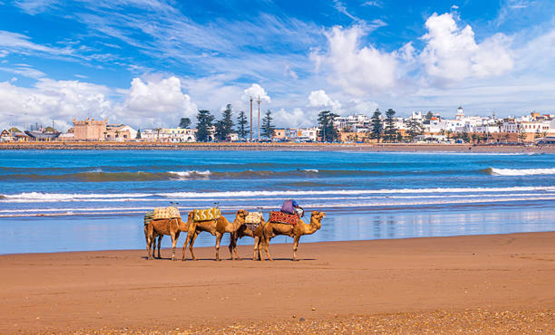 Essaouira medina UNESCO Morocco